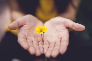 Anglican Church Freiburg safeguarding